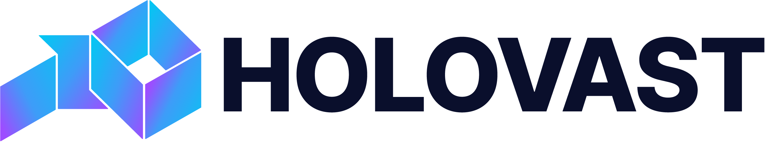 Holovast